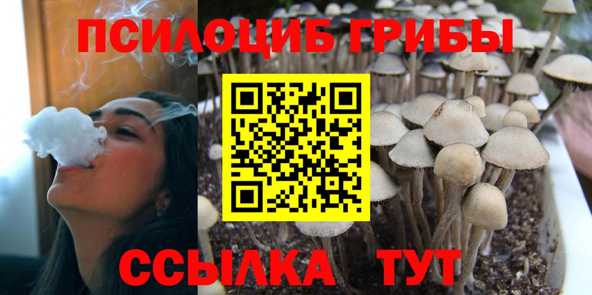 Галлюциногенные грибы Psilocybine cubensis  Псилоцибиновые грибы Magic Shrooms  Вход с VPN  Холмск 