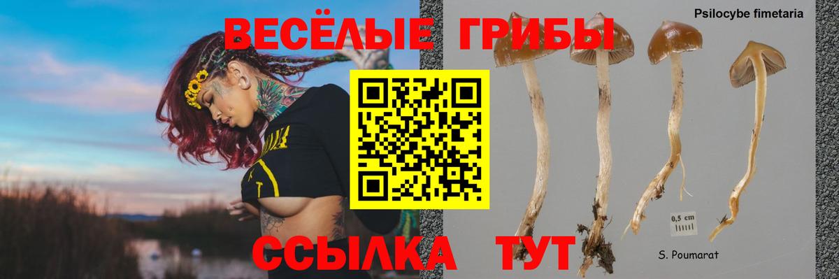 Псилоцибиновые грибы MAGIC MUSHROOMS Холмск